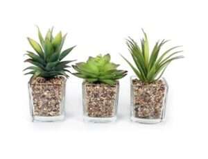 Eaglewiz 3 Mini Artificial Small Succulent Cactus Cacti Plants Stones Glass Pot