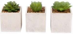 EagleWiz Cement Artificial Cactus Plants Fake Succulents Pots Set of 3