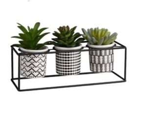 Artificial Succulent Plants Set of 3 in Ceramic Pots on Black Pot Stand