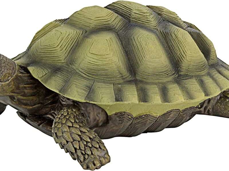 Design Toscano QM1887611 Gilbert The Box Turtle Indoor/Outdoor Garden Decor Animal Statue, 7 Inches Wide, 9 Inches Deep, 3 Inches High, Full Color Finish