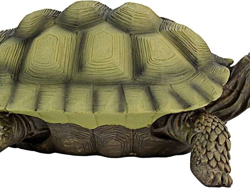 Design Toscano QM1887611 Gilbert The Box Turtle Indoor/Outdoor Garden Decor Animal Statue, 7 Inches Wide, 9 Inches Deep, 3 Inches High, Full Color Finish