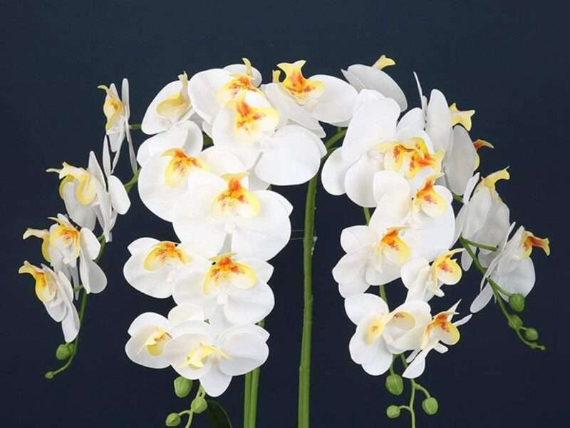 GUMTRE Beautiful Orchids Artificial Flowers Artificial Phalaenopsis Orchid Plant, White Silk Flower Floral Arrangements with Black Pot Flowers Everything is fine