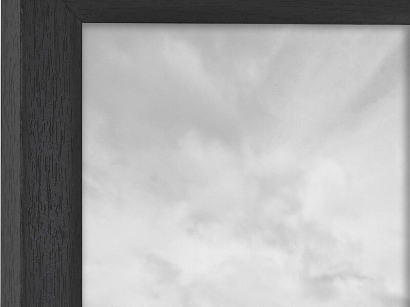 MCS Studio Gallery Frame, Black Woodgrain, 16 x 20 in, Single