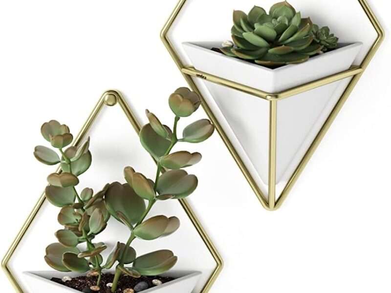 Umbra Trigg Hanging Planter Vase & Geometric Wall Decor Container - Great For Succulent Plants, Air Plant, Mini Cactus, Faux Plants and More, White Ceramic-Brass (Set of 2), Small