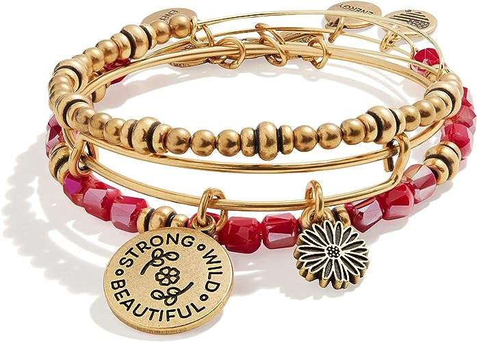 Alex and Ani Connections Expandable Bangle for Women, Set of Bracelets, 2 to 3.5 in