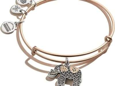 Alex and Ani Path of Symbols Expandable Bangle for Women, Elephant Charm, Two-Tone Finish, 2 to 3.5 in