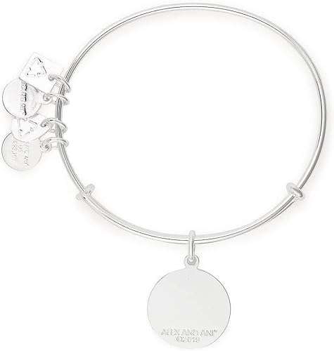 Alex and ANI Path of Symbols Expandable Bangle for Women, Arrows of Friendship Charm, Shiny Finish, 2 to 3.5 in