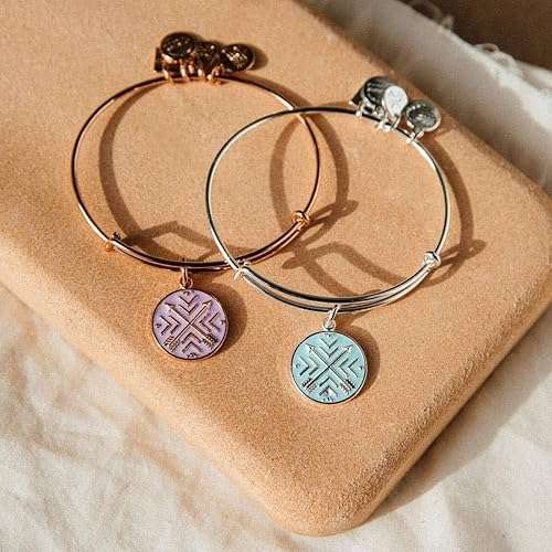 Alex and ANI Path of Symbols Expandable Bangle for Women, Arrows of Friendship Charm, Shiny Finish, 2 to 3.5 in