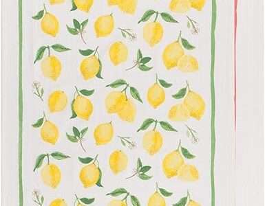 Now Designs Floursack Kitchen Towels Quick Dry Cotton Hand Towel Set, 3 Count, Fruit Salad Print, 20 x 30 in